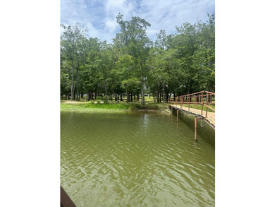 Come experience lakefront living on this beautiful, level lot - photo 8