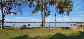 Lake Weir Condo For Sale in Summerfield Florida