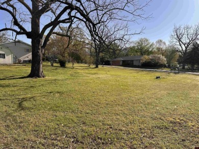 Lake Lot For Sale in Lakeview, Arkansas