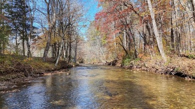 Hiawassee River Frontage in Hi River Country! Build your dream - photo 1