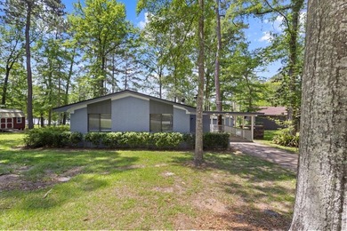 Stunning waterfront retreat on **Lake Galahad**! This - photo 11