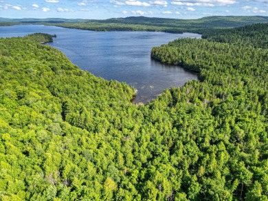 Lake Acreage For Sale in Willimantic, Maine