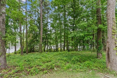 Experience lakefront living on Lake Eufaula with this fully - photo 43