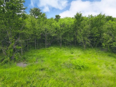 3+ Acre Offwater Lot with Boat Slip on Lake Halbert - photo 29