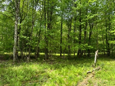Private RV or Camp Getaway in Central New York - photo 5