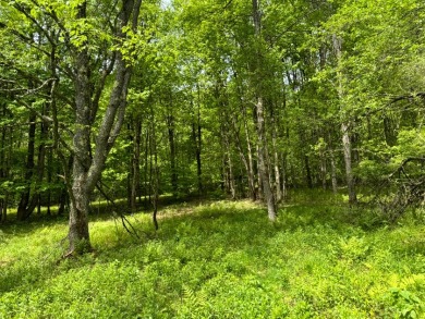 Private RV or Camp Getaway in Central New York - photo 14