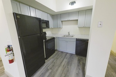 Rare opportunity to acquire a fully renovated, income-producing - photo 36