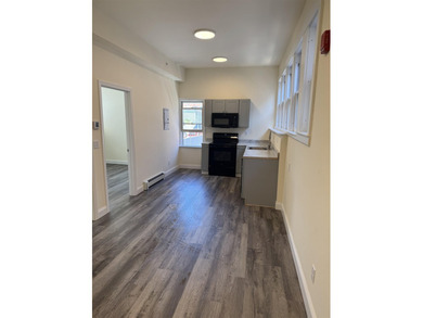 Rare opportunity to acquire a fully renovated, income-producing - photo 49