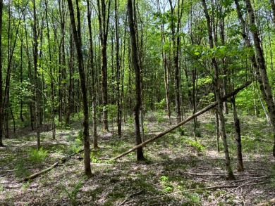 Private RV or Camp Getaway in Central New York - photo 19