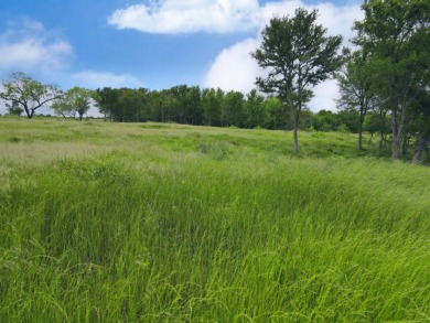 3+ Acre Offwater Lot with Boat Slip on Lake Halbert - photo 8