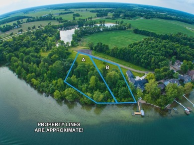 Lake Lot For Sale in Coldwater, Michigan