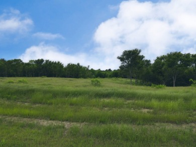 3+ Acre Offwater Lot with Boat Slip on Lake Halbert - photo 9