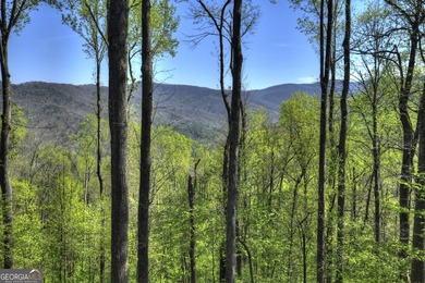 ~Long range mountain view log home perched on top of Walnut - photo 3