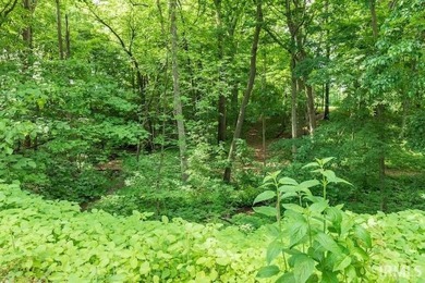An extraordinary opportunity awaits at Lot 5 in The Oaks, an - photo 23