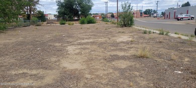 San Juan River Commercial For Sale in Bloomfield New Mexico
