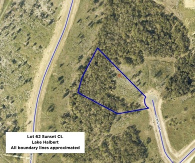 3+ Acre Offwater Lot with Boat Slip on Lake Halbert - photo 18