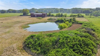 (private lake, pond, creek) Home Active Under Contract in Grand Saline Texas