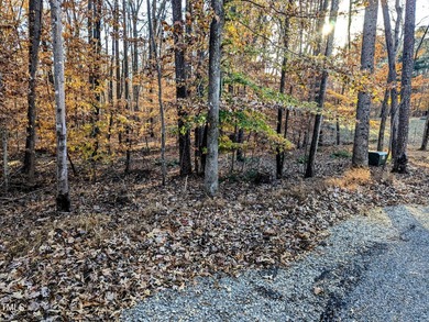 Merifield Acres Lot located on a quite Cul De Sac. Wooded - photo 2