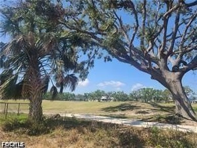 CORAL OAKS GOLF COURSE LOT!! Check out this Beautiful Western - photo 3