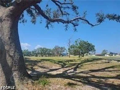 CORAL OAKS GOLF COURSE LOT!! Check out this Beautiful Western - photo 4