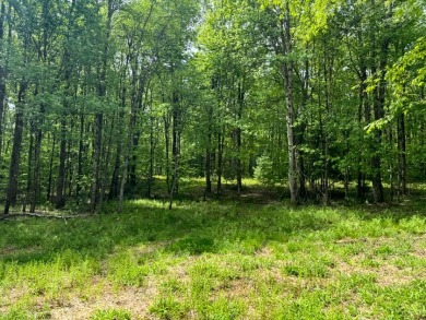 Private RV or Camp Getaway in Central New York - photo 15