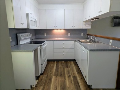 Final price drop! Gorgeous, exceptionally renovated 3+ bedroom - photo 28