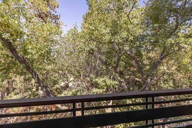 42598 Alta Vista Ave - photo 34