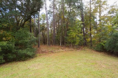 This beautiful 1-acre lot is absolutely ideal for your new home! - photo 1