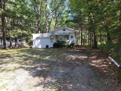 Lake Home For Sale in Prudenville, Michigan