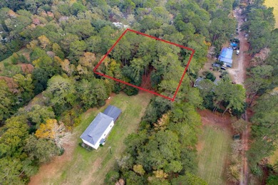 This beautiful 1-acre lot is absolutely ideal for your new home! - photo 2
