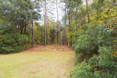 This beautiful 1-acre lot is absolutely ideal for your new home! - photo 6