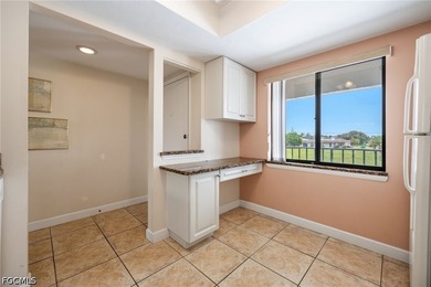 Boater's Paradise in the heart of Southeast Cape Coral! Enjoy - photo 6