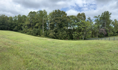 1.25 Building Lot in Enchanting Lake Cumberland Neighborhood - photo 4