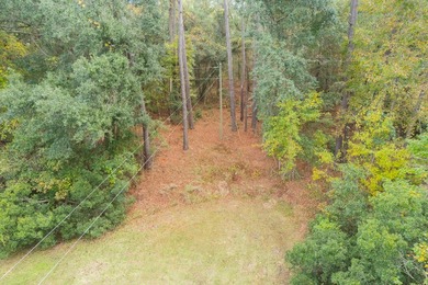 This beautiful 1-acre lot is absolutely ideal for your new home! - photo 9