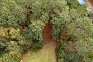 This beautiful 1-acre lot is absolutely ideal for your new home! - photo 10