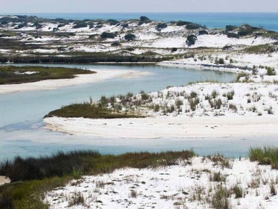 Welcome to TOES IN THE SAND ll, a breathtaking Southern, Coastal - photo 57