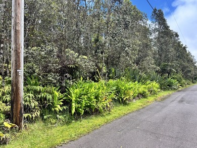 Discover the perfect opportunity to build your Hawaii dream home - photo 1