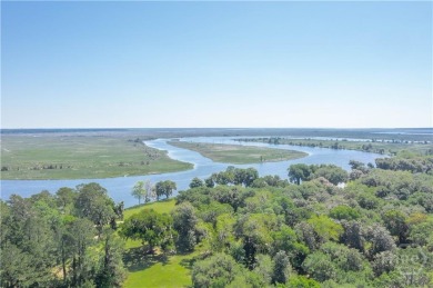 Lake Acreage For Sale in Richmond Hill, Georgia