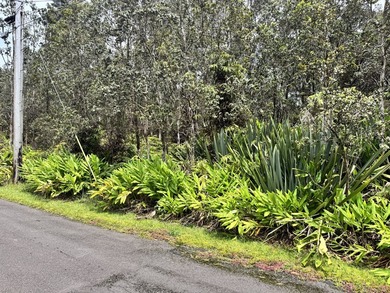 Discover the perfect opportunity to build your Hawaii dream home - photo 3