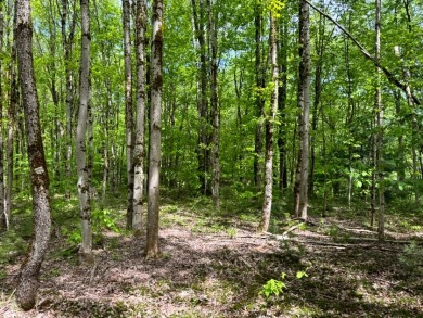 Private RV or Camp Getaway in Central New York - photo 9