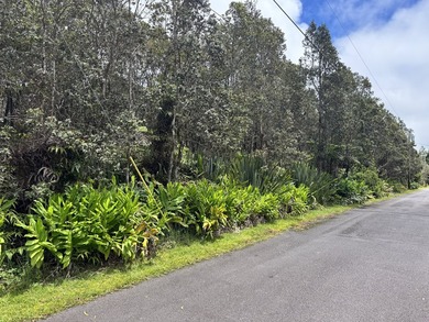Discover the perfect opportunity to build your Hawaii dream home - photo 7