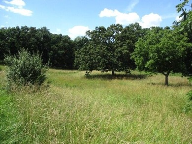 (private lake, pond, coastal) Acreage For Sale in Centralia Missouri