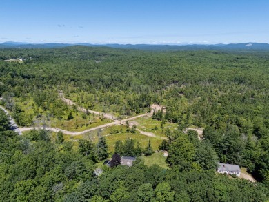 Lake Acreage For Sale in Waterboro, Maine