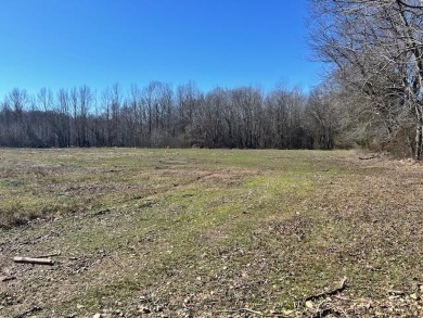 Lake Lot Sale Pending in Camden, Tennessee