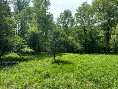 Private RV or Camp Getaway in Central New York - photo 2
