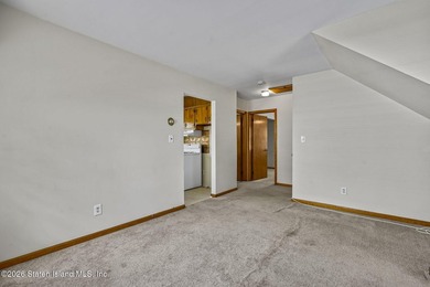 Extremely well-maintained 2-family Cape in the heart of Dongan - photo 22