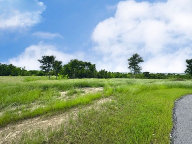 3+ Acre Offwater Lot with Boat Slip on Lake Halbert - photo 19