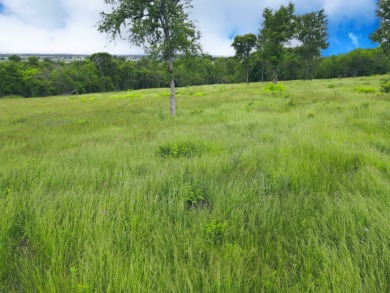 3+ Acre Offwater Lot with Boat Slip on Lake Halbert - photo 6