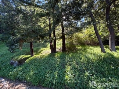Rare development opportunity featuring 5 premium lots in the - photo 5