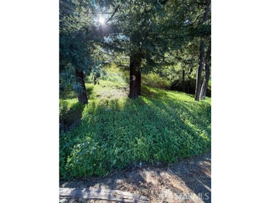 Rare development opportunity featuring 5 premium lots in the - photo 6